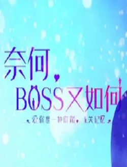 奈何BOSS又如何