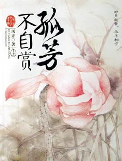 孤芳不自赏