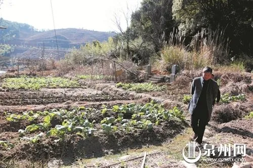 泉州历史名人曾公亮留存泉州重要遗迹相安院藏身菜地