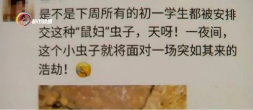 昆明9万学生全城找鼠妇做实验怎么回事？鼠妇是什么虫有什么用