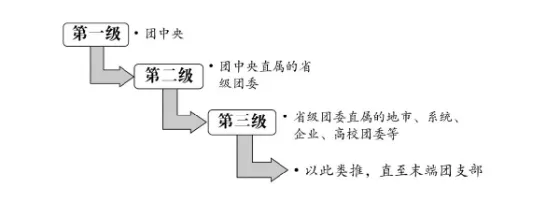 网上共青团智慧团建系统组织树怎么建立操作流程指南 完善组织信息