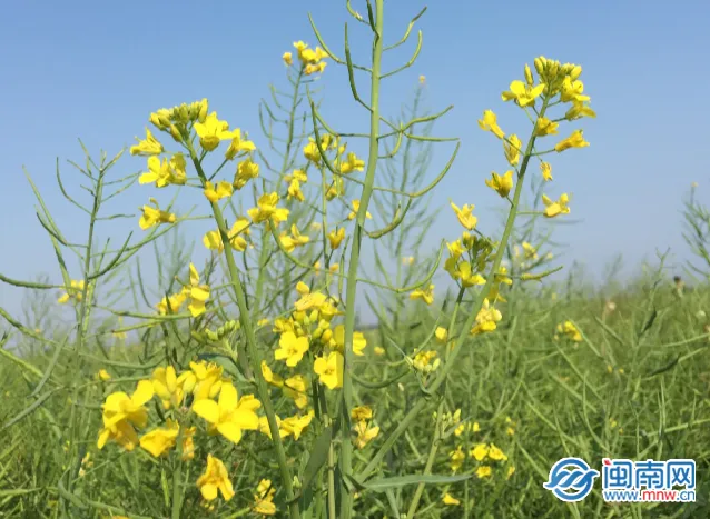 劳动节感想祝福语文案 劳动节快乐祝福语朋友圈说说