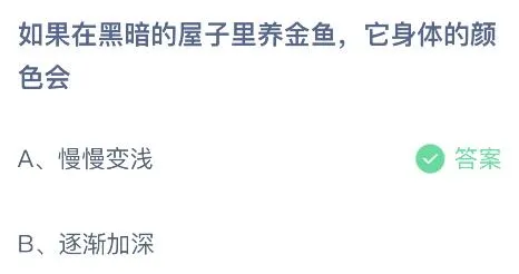 如果在黑暗的屋子里养金鱼它身体的颜色会？蚂蚁庄园12月10日答案