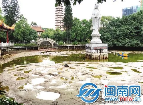 福州西禅寺放生池为修桥抽干水 锦鲤死了不少