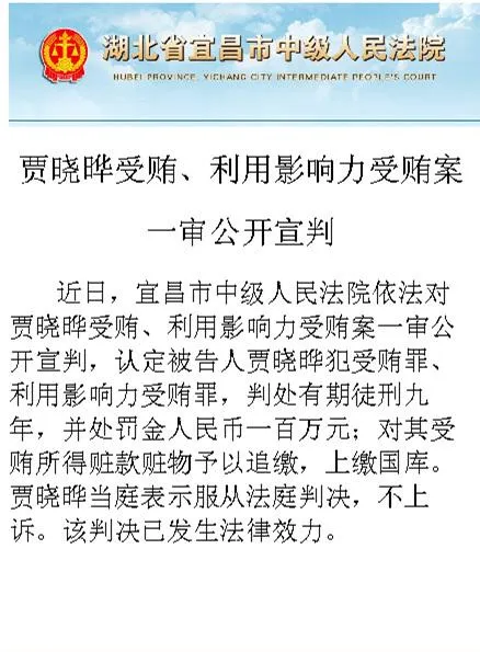 贾晓晔因受贿一审被判9年当庭表示不上诉