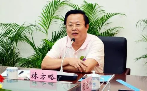 海南省政协副主席林方略简历照片 被撤销全国政协委员资格