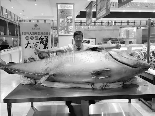 3800元一两鱼肉 日本蓝鳍金枪鱼最贵值多少钱？