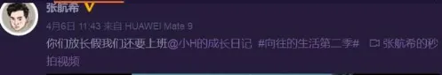 《向往的生活2》小H是流浪狗吗 小H是谁养的