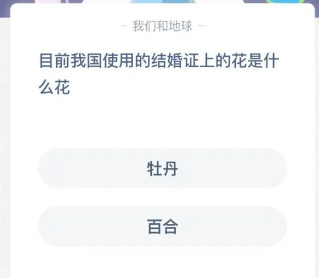 目前我国使用的结婚证上的花是什么花？牡丹还是百合