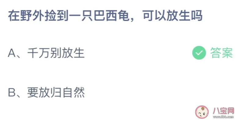 野外捡到一只巴西龟可以放生吗？千万别放生还是要放归自然？蚂蚁课堂最新答案