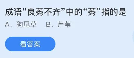 成语良莠不齐中的莠指的是什么意思？蚂蚁庄园今日答案最新11.24