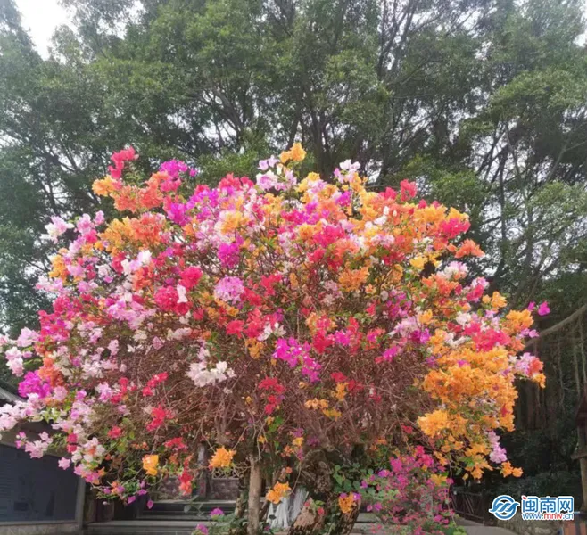 五一节日祝福短语 五一发朋友圈的精美句子心情说说短句