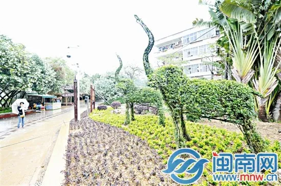 泉州东湖公园种了对“象” 由30多株苗木缠绕而成